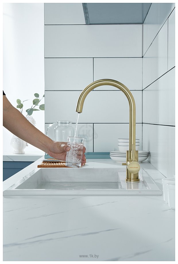 Фотографии Paulmark Essen Es213211-BR (бронза)