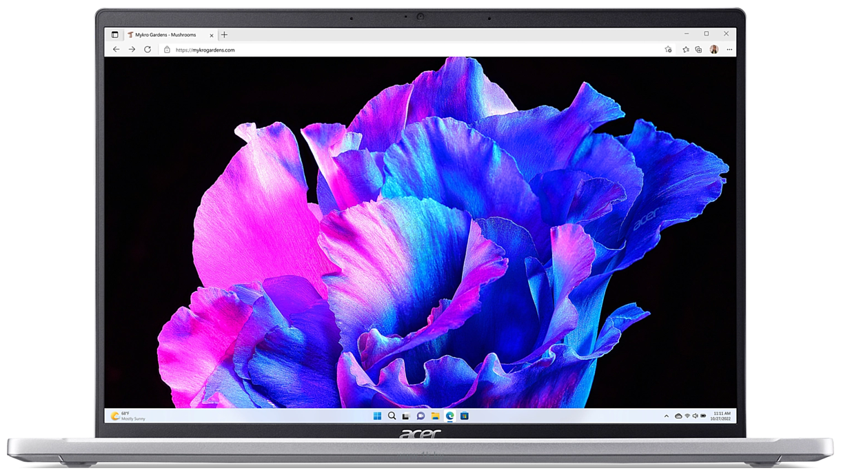 Фотографии Acer Swift Go SFG14-71-76T2 (NX.KMZER.003)