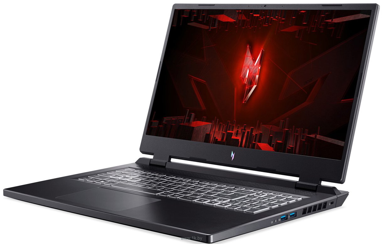 Фотографии Acer Nitro 17 AN17-41-R83D NH.QL2CD.002