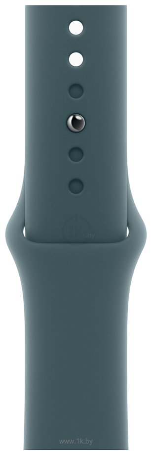 Фотографии Apple Watch Series 10 42 мм (титановый корпус, спортивный силиконовый ремешок)
