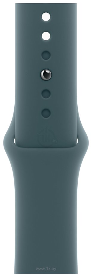 Фотографии Apple Watch Series 10 42 мм (титановый корпус, спортивный силиконовый ремешок)