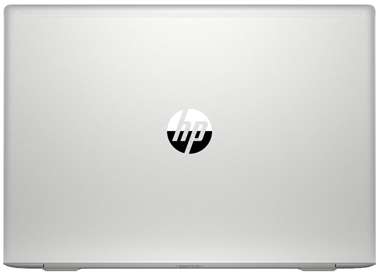 Фотографии HP ProBook 455 G7 (2D235EA)