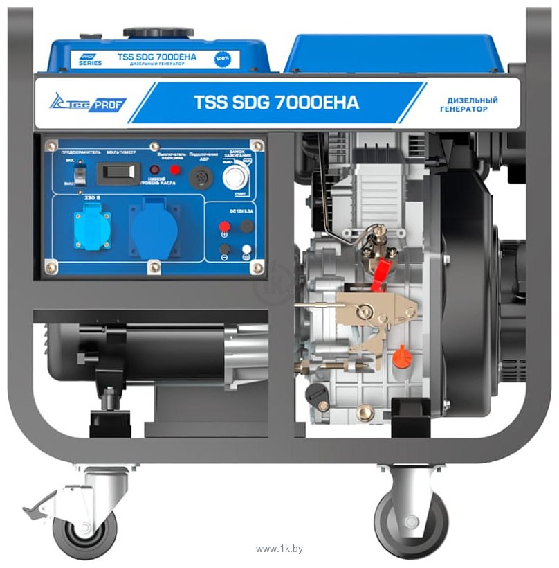 Фотографии ТСС SDG 7000EHA 100033