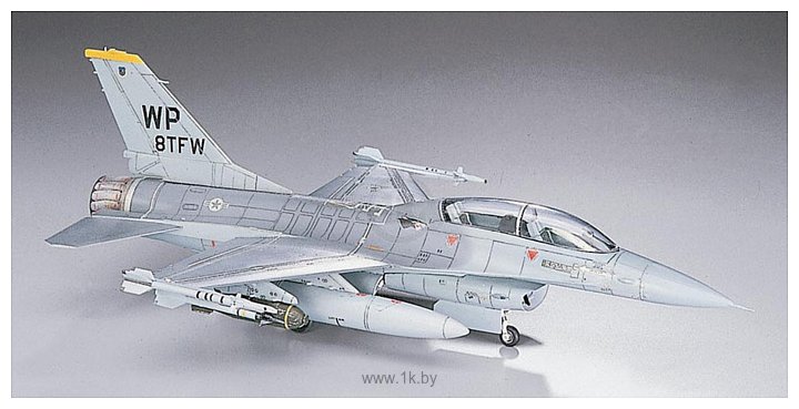 Фотографии Hasegawa Учебно-боевой самолет F-16B Plus Fighting Falcon