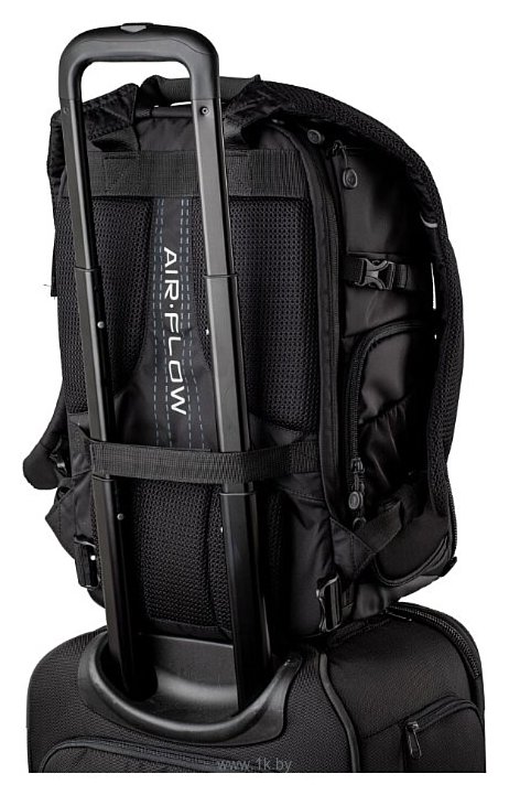 Фотографии TENBA Shootout Backpack 24