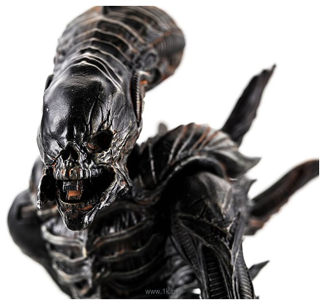 Фотографии Hiya Toys Aliens Colonial Marines Xenomorph Raven TM20021