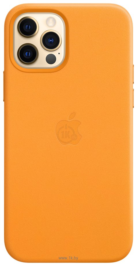 Фотографии Apple MagSafe Leather Case для iPhone 12/12 Pro (золотой апельсин)
