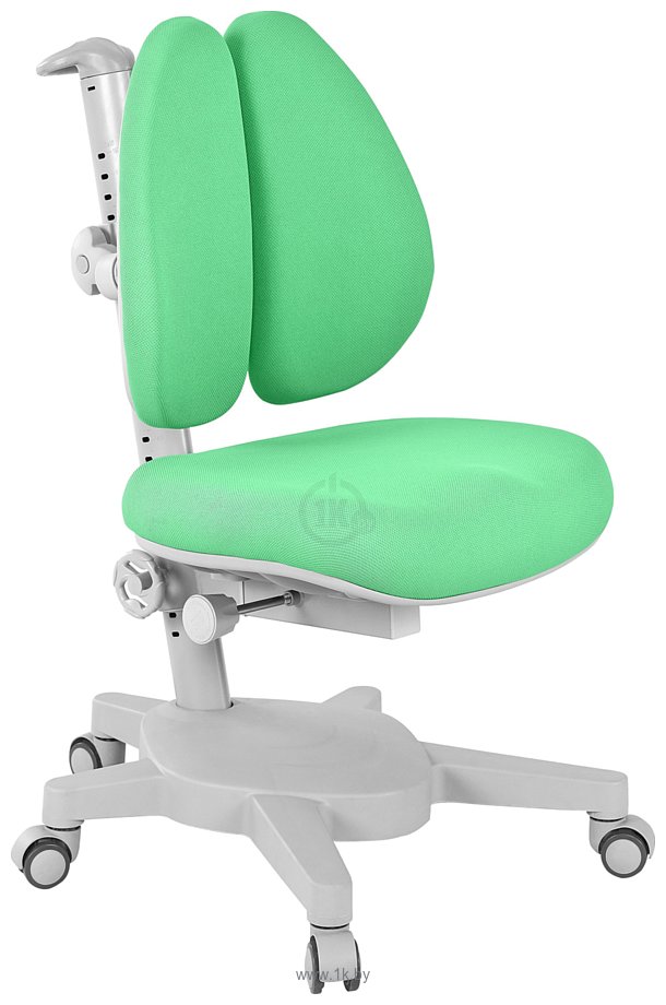 Фотографии Anatomica Study-120 Lux + надстройка + органайзер + ящик с зеленым креслом Armata Duos (белый/серый)