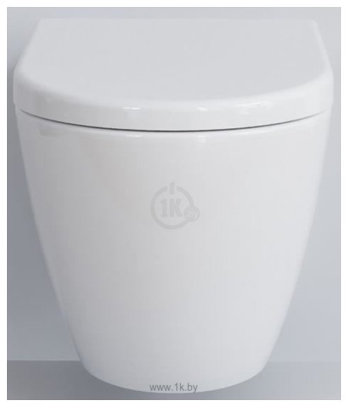 Фотографии Ambassador Queen 113T20001R (белый, с толстым сиденьем)