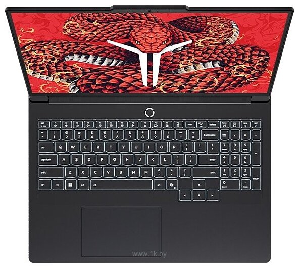 Фотографии Lenovo Legion R9000P AFR10H (83RU0009CD)