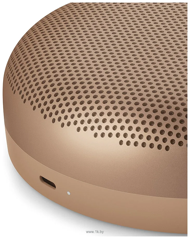 Фотографии Bang & Olufsen Beosound A1 3rd Gen Фотографии Bang & Olufsen Beosound A1 3rd Gen