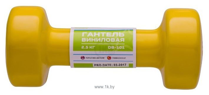 Фотографии Starfit DB-101 2x2.5 кг (желтый)