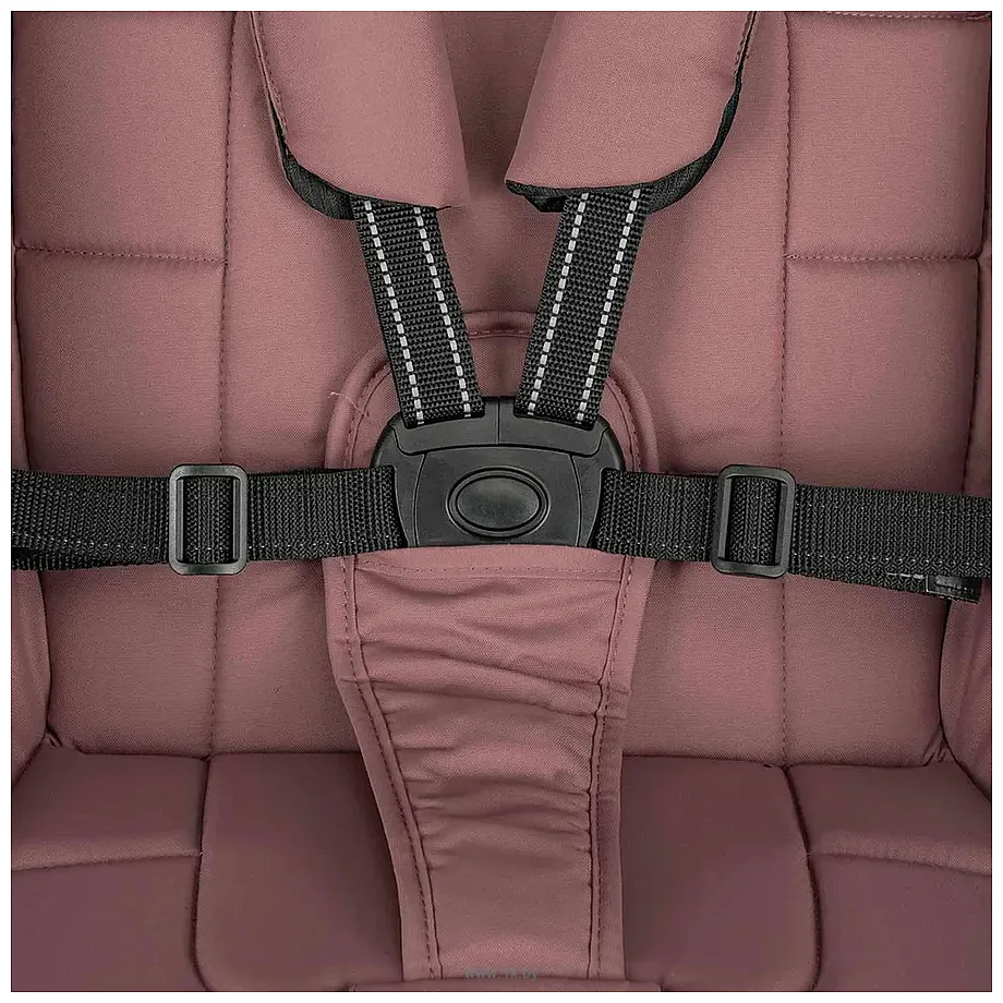 Фотографии Indigo Era