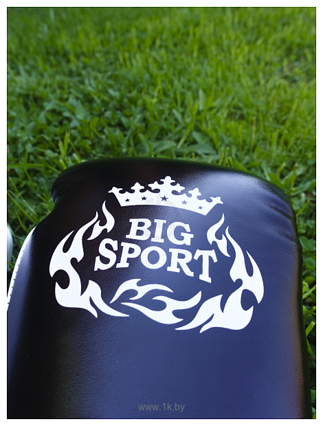 Фотографии BigSport D106B (12 oz, черный)