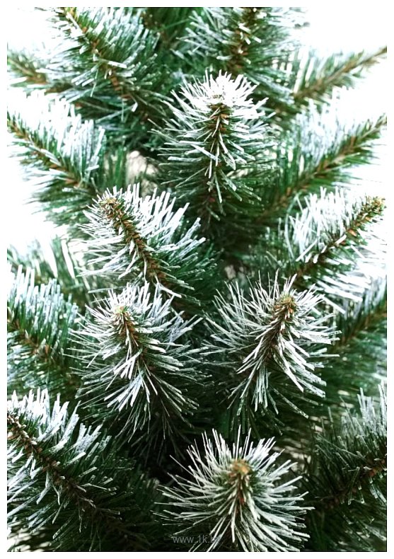 Фотографии Holiday Trees Альпийская 2.5 м