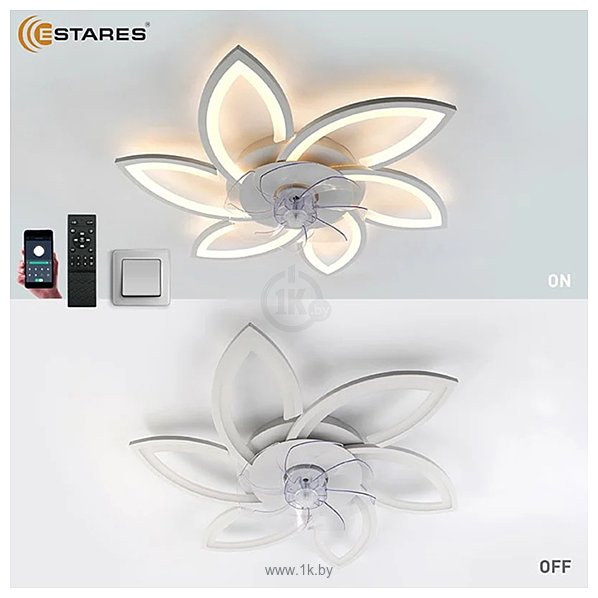 Фотографии Estares Fan Flower