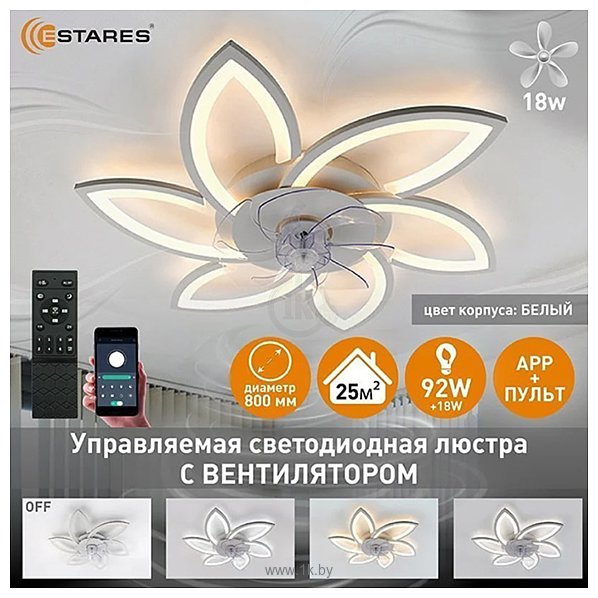 Фотографии Estares Fan Flower