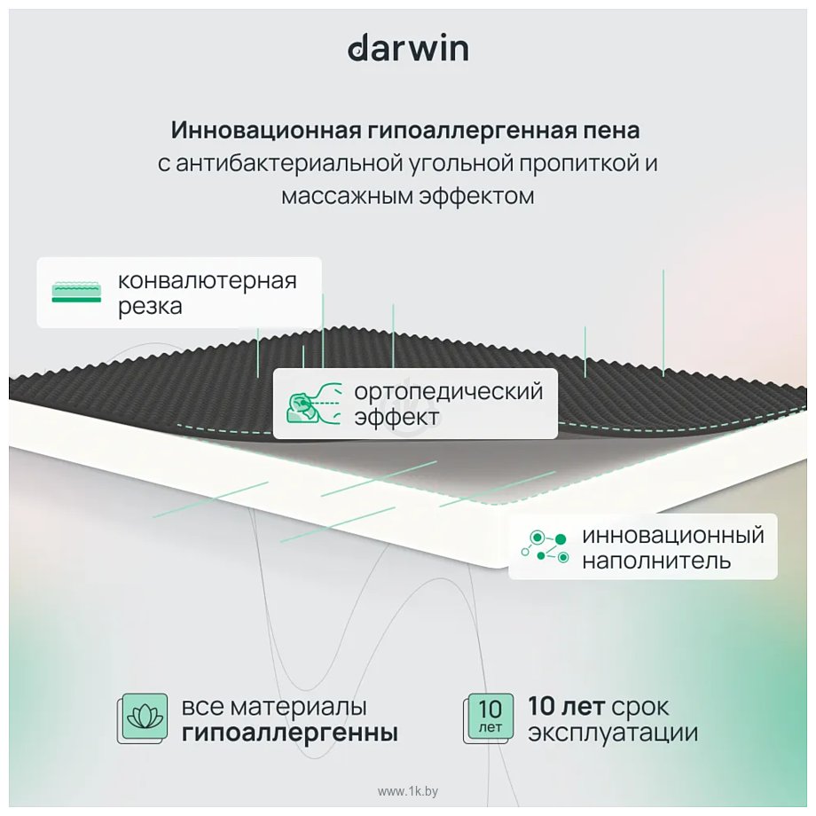 Фотографии Darwin Fresh 140x190