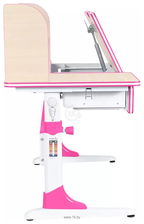 Фотографии Anatomica Study-120 Lux + надстройка + органайзер + ящик с розовым креслом Ragenta с цветными кольцами (клен/розовый)