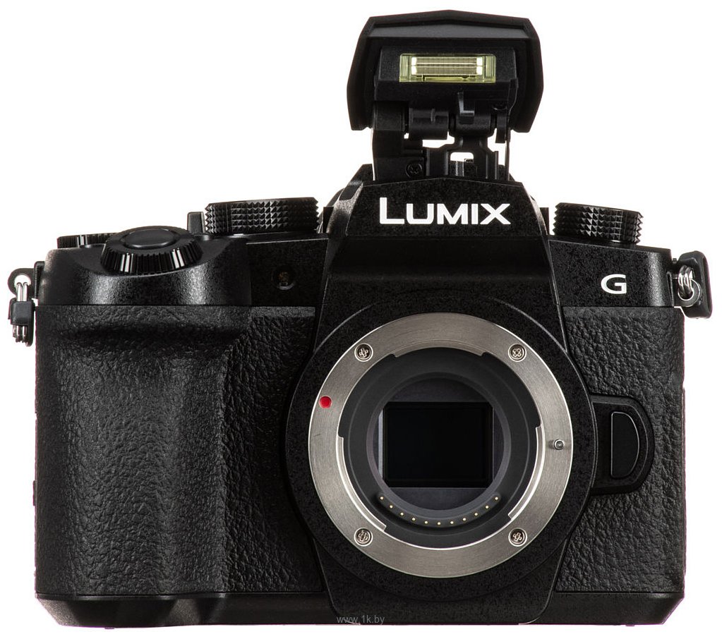 Фотографии Panasonic Lumix DC-G95 Body