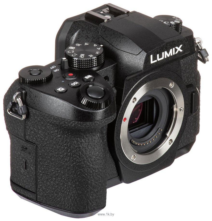 Фотографии Panasonic Lumix DC-G95 Body