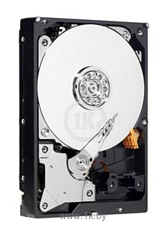 Фотографии Western Digital AV-GP 320 GB (WD3200AVVS)