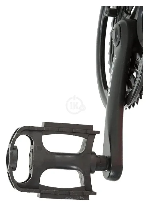 Фотографии Stern Attack 24 Sport (2019)