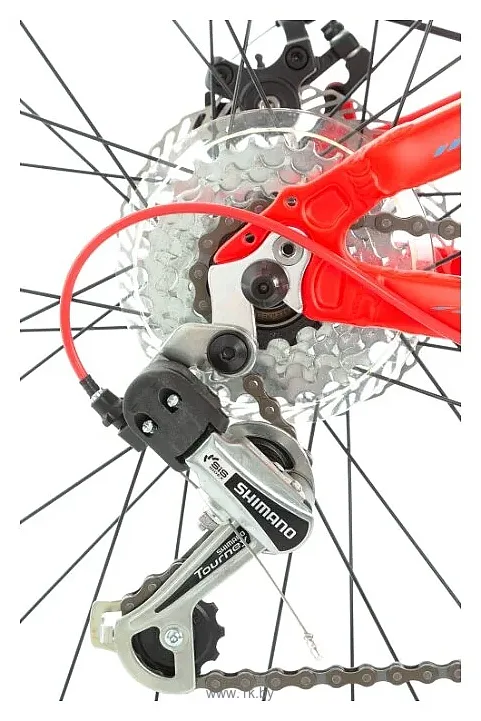 Фотографии Stern Attack 24 Sport (2019)