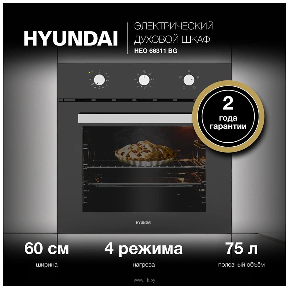 Фотографии Hyundai HEO 66311 BG