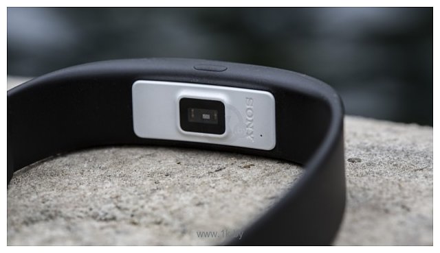 Фотографии Sony SmartBand 2 SWR12