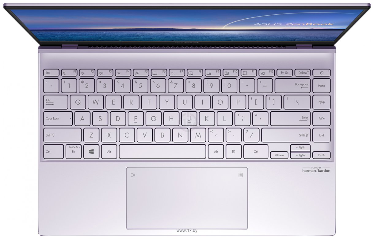 Фотографии ASUS ZenBook 14 UX425EA-KI488