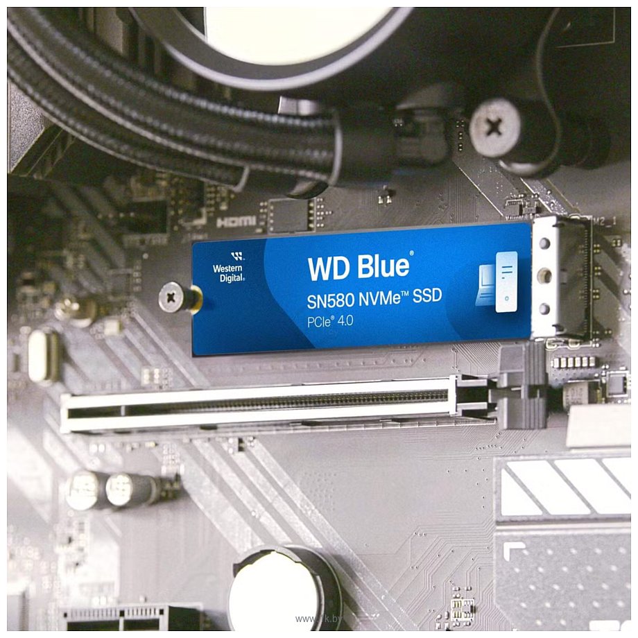 Фотографии Western DigitalBlue SN580 250GB WDS250G3B0E