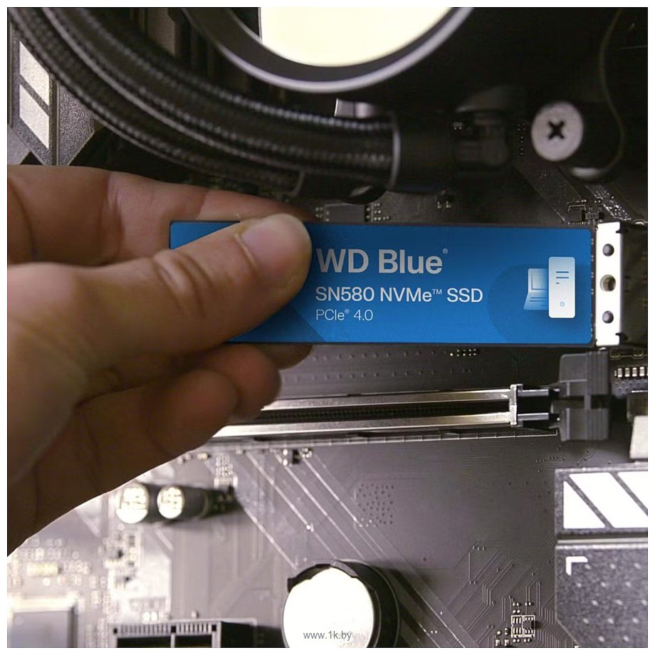 Фотографии Western DigitalBlue SN580 250GB WDS250G3B0E