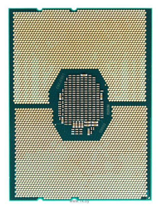 Фотографии Intel Xeon Silver 4216 Cascade Lake (2100MHz, LGA3647, L3 22528Kb)
