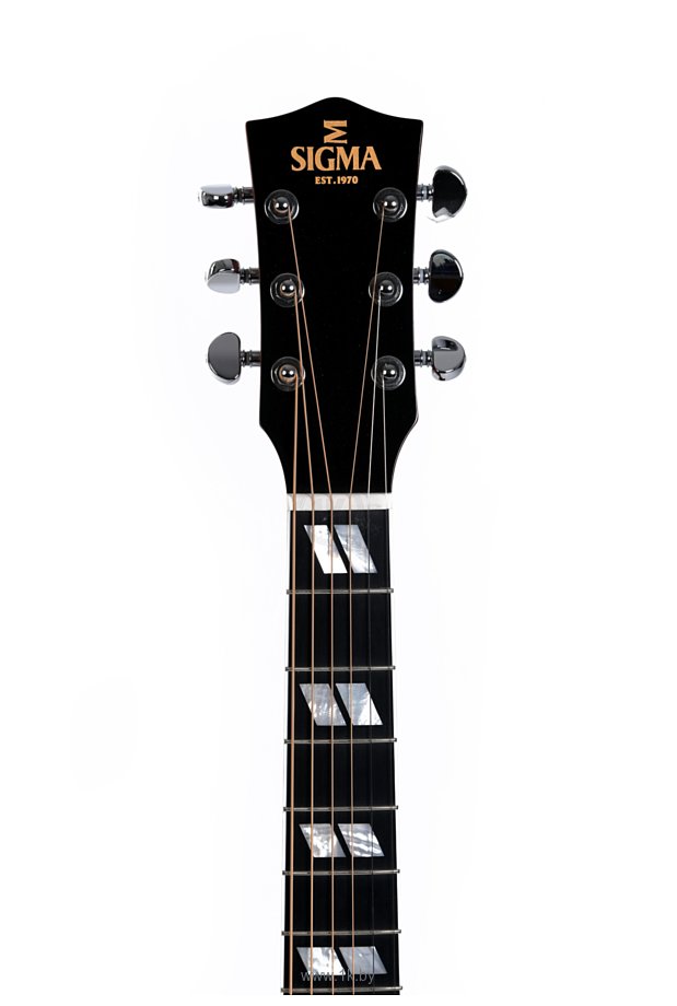 Фотографии Sigma Guitars DM-SG5+