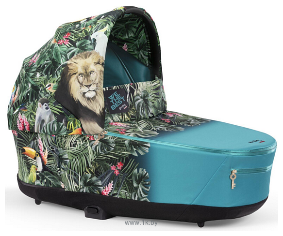 Фотографии Cybex Priam Lux Carrycot IV