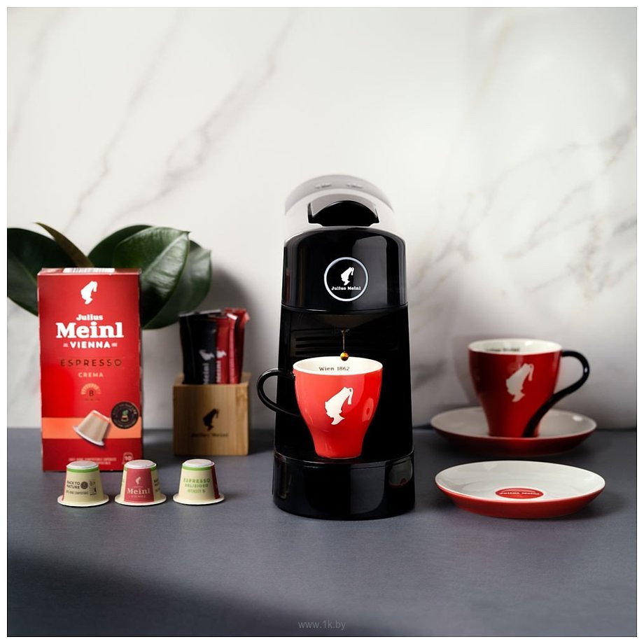 Фотографии Julius Meinl Pinta N-Cup