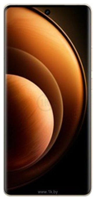 Фотографии Vivo X100 Pro 16/512GB (международная версия)