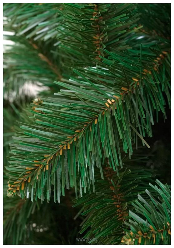 Фотографии Holiday Trees Беловежская 1.5 м