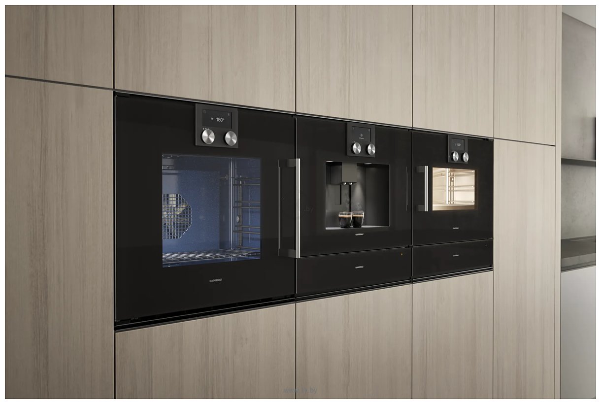 Фотографии Gaggenau BOP251102