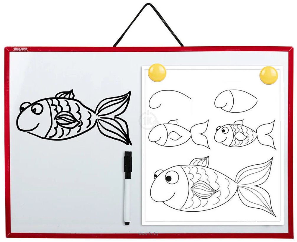 Фотографии Пифагор 231719