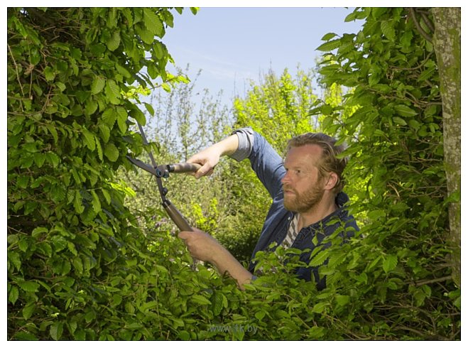 Фотографии Gardena Для живой изгороди механические NatureCut 12300-20