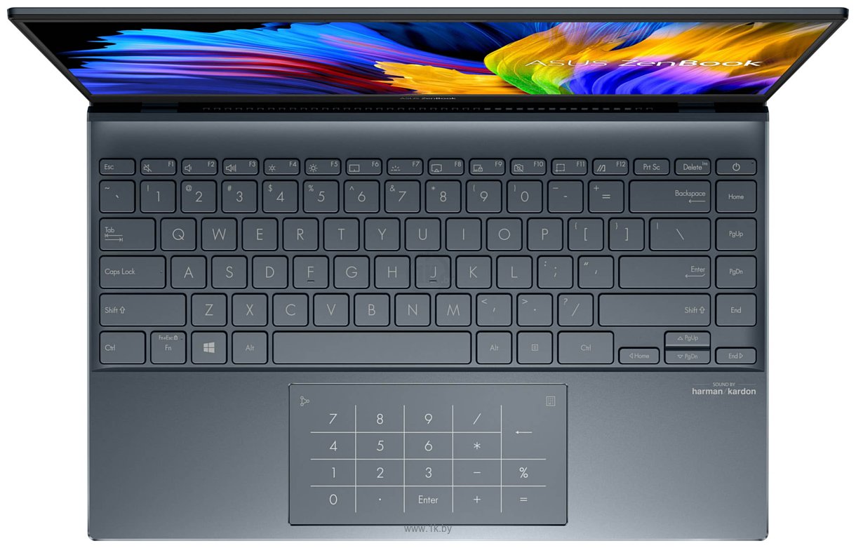 Фотографии ASUS ZenBook 14 UM425QA-EH74