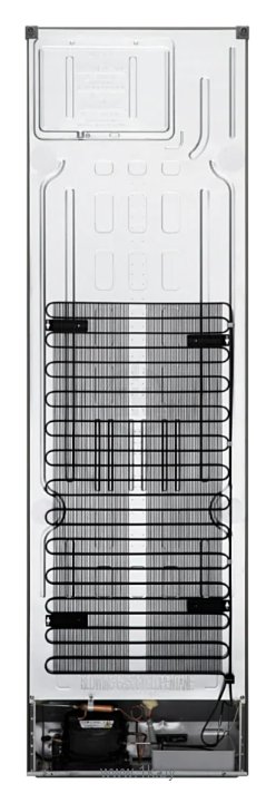 Фотографии LG DoorCooling+ GA-B509MCZL