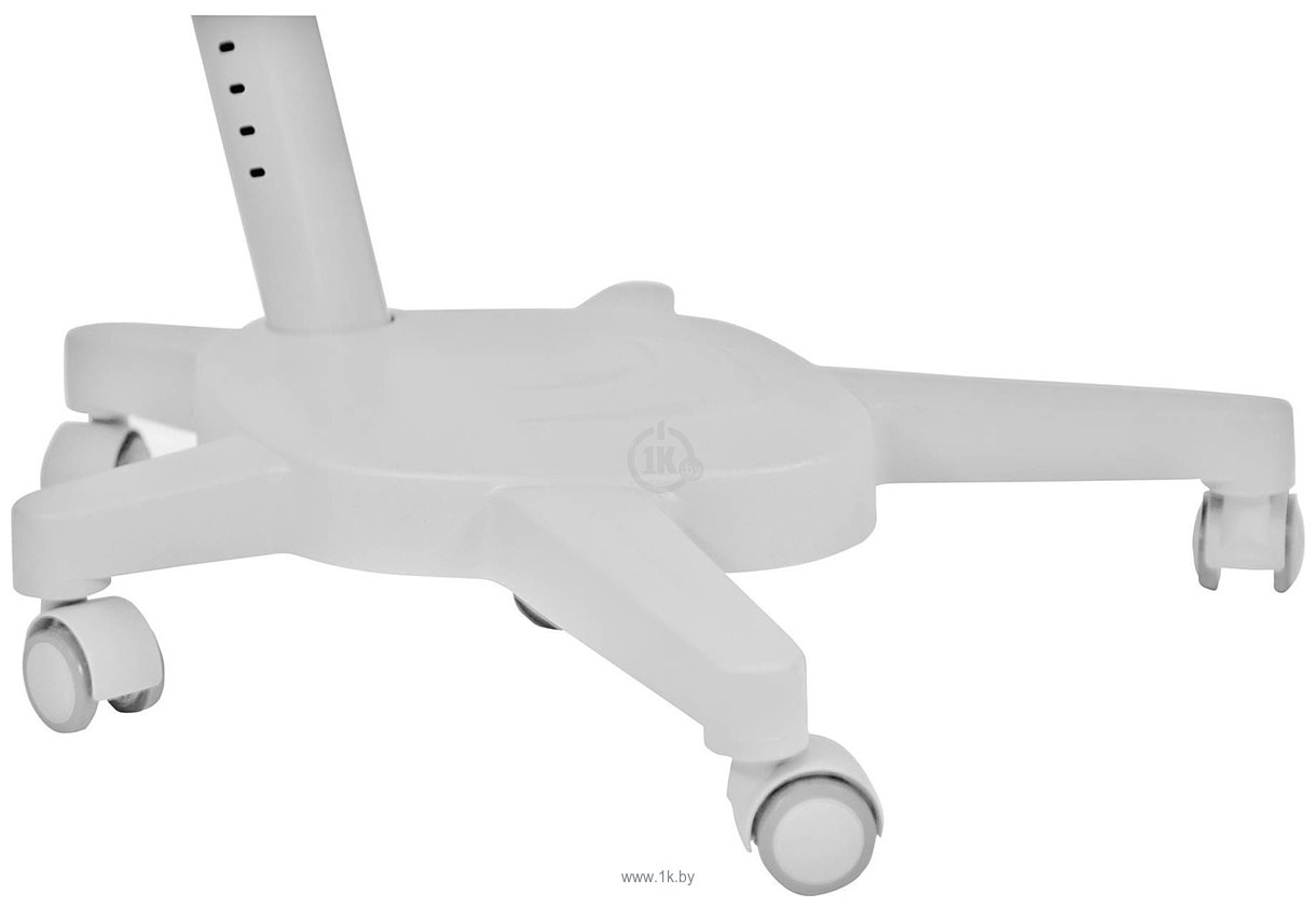 Фотографии Anatomica Study-100 Lux + органайзер с голубым креслом Armata (белый/серый)