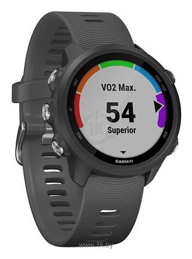 Фотографии Garmin Forerunner 245