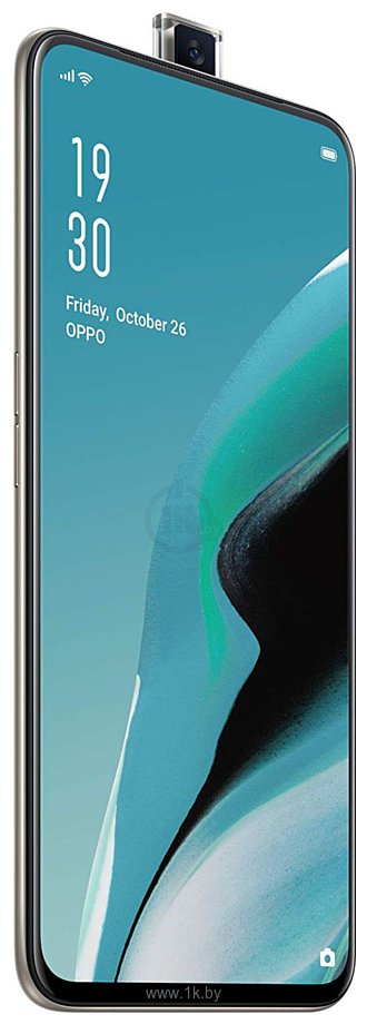 Фотографии Oppo Reno2 Z 8/256GB (CPH1945)