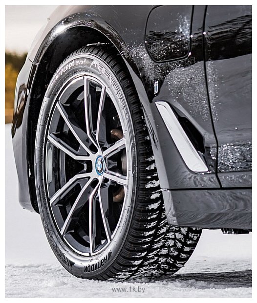 Фотографии Hankook Winter i*cept evo3 W330 275/30 R20 97V XL