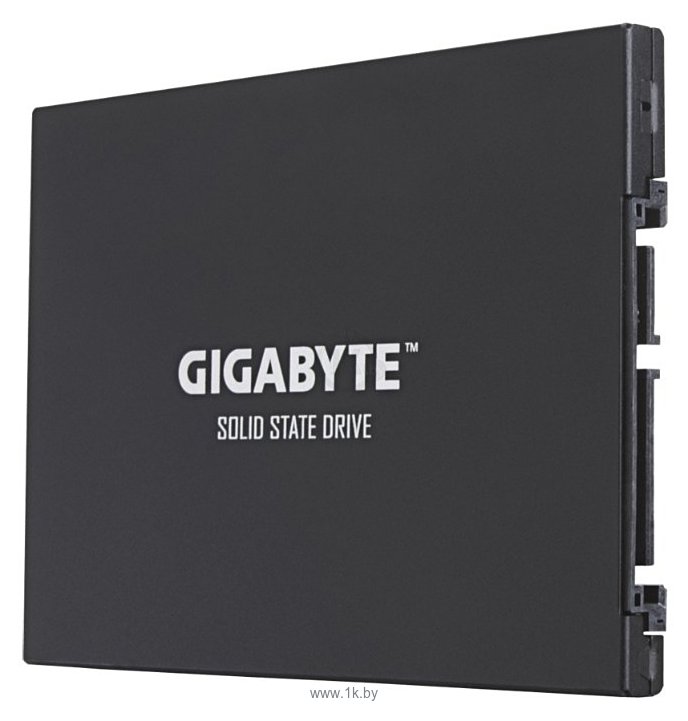 Фотографии GIGABYTE 1000 GB (GP-UDPRO1T)
