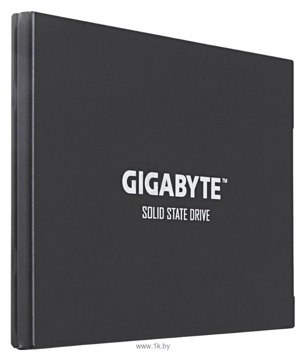 Фотографии GIGABYTE 1000 GB (GP-UDPRO1T)